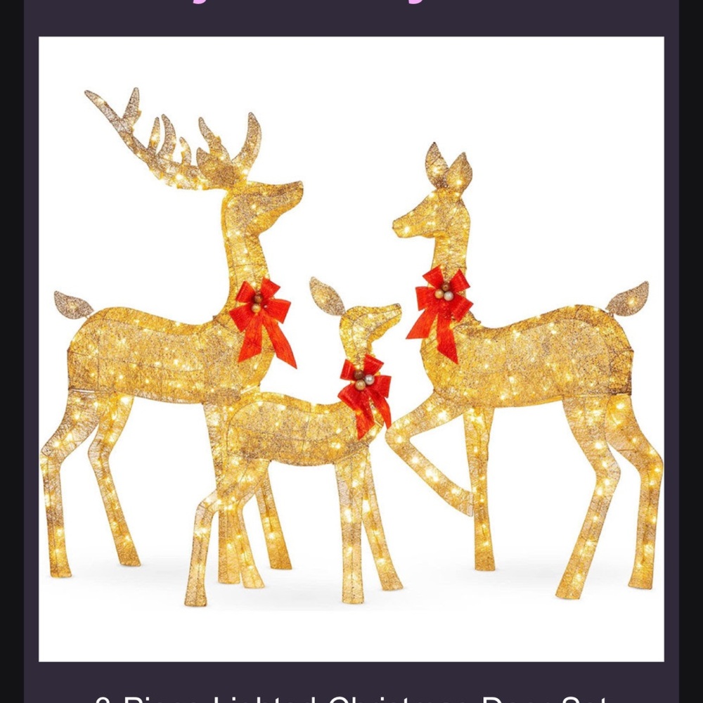 Meet your Posher, Djatougbe